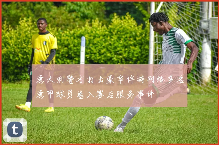 意大利警方打击豪华伴游网络多名意甲球员卷入赛后服务事件