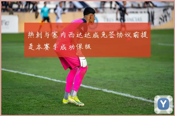 热刺与塞内西达达成免签协议前提是本赛季成功保级